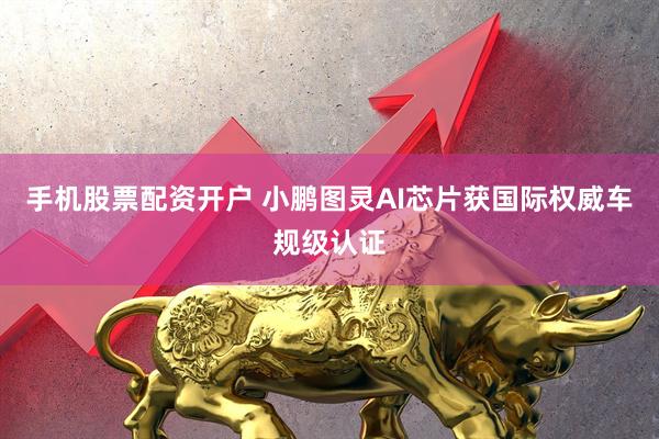 手机股票配资开户 小鹏图灵AI芯片获国际权威车规级认证