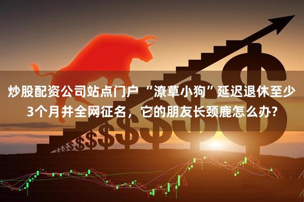 炒股配资公司站点门户 “潦草小狗”延迟退休至少3个月并全网征名，它的朋友长颈鹿怎么办?